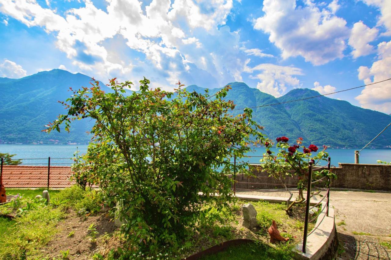 Appartamento Il Punto Rosso Nesso Esterno foto
